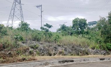 164 Sqm Residential Lot for Sale in Vista Grande Talisay Cebu City