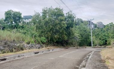164 Sqm Residential Lot for Sale in Vista Grande Talisay Cebu City