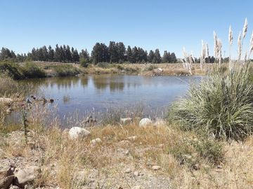 Lote en Barrio Privado Las Marías del Valle  -  a metros del Aeropuerto Chapelco. 1500 mts2 terreno plano con excelentes vistas.