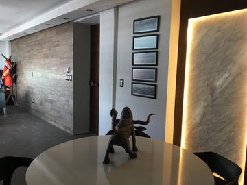 EDIFICIO EN VENTA AVENIDA PERIODISMO