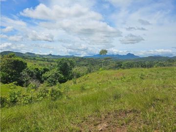 Finca de 60 hectáreas en venta en Capira (DR)