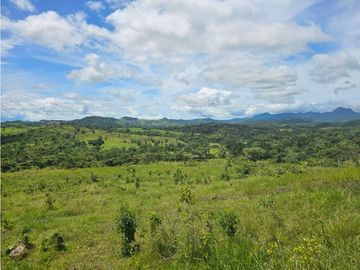 Finca de 60 hectáreas en venta en Capira (DR)