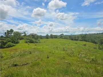Finca de 60 hectáreas en venta en Capira (DR)