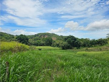 Finca de 60 hectáreas en venta en Capira (DR)