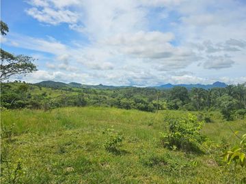 Finca de 60 hectáreas en venta en Capira (DR)