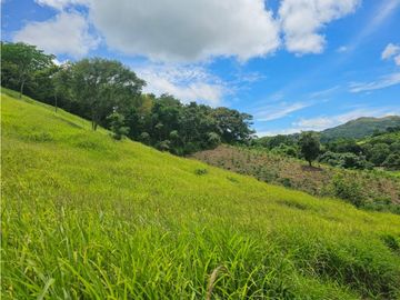 Finca de 60 hectáreas en venta en Capira (DR)