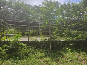 Finca de 60 hectáreas en venta en Capira (DR)