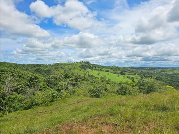 Finca de 60 hectáreas en venta en Capira (DR)