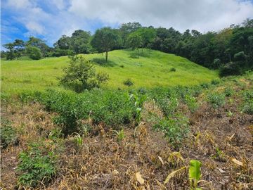 Finca de 60 hectáreas en venta en Capira (DR)