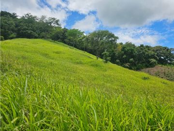Finca de 60 hectáreas en venta en Capira (DR)