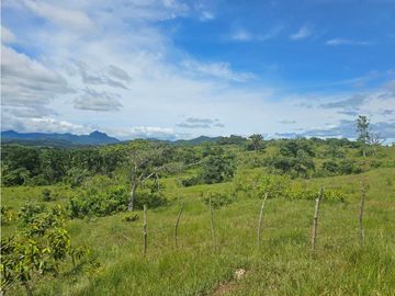 Finca de 60 hectáreas en venta en Capira (DR)