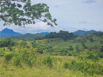 Finca de 60 hectáreas en venta en Capira (DR)