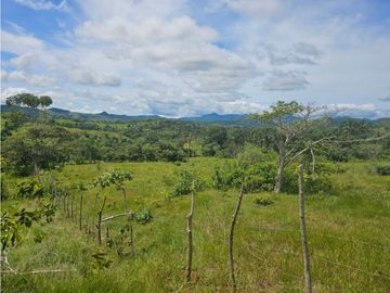 Finca de 60 hectáreas en venta en Capira (DR)