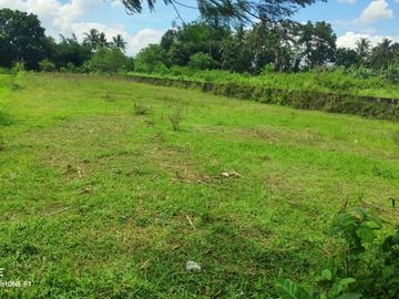 Kavling Murah Sleman Dekat Sleman City Hall