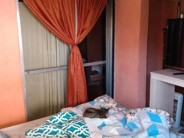 Local/galpon con Vivienda - Venta - Luis Guillon