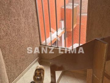 Zona de Oro II: Hermosa casa con amplio patio