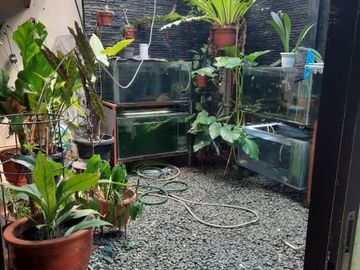 Dijual Rumah De Lantions Cluster Bahamas Blok A Lokasi Strategis Siap Huni Fully Furnished Murah