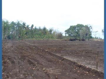 Kavling Cluster Perumahan Barat Bandara YIA, Siap Balik Nama