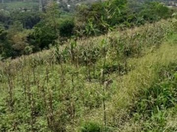 Tanah Dijual Cepat di Jatinangor
