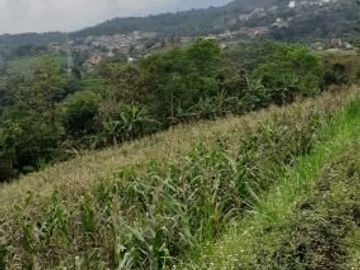 Tanah Dijual Cepat di Jatinangor