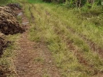 Tanah Dijual Cepat di Jatinangor