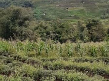 Tanah Dijual Cepat di Jatinangor