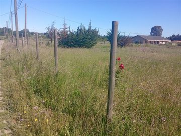En venta terreno de 5.000 m2 en Numpay, Maule.