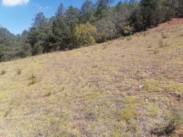 INVIERTE INTELIGENTEMENTE ADQUIERE UN LOTE CON ALTA PLUSVALÍA UBICADO EN LOS HERRERA, MUNICIPIO DE SAN JOAQUÍN, CON VISTA PANORAMICA HERMOSA.
