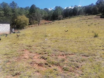 INVIERTE INTELIGENTEMENTE ADQUIERE UN LOTE CON ALTA PLUSVALÍA UBICADO EN LOS HERRERA, MUNICIPIO DE SAN JOAQUÍN, CON VISTA PANORAMICA HERMOSA.