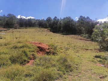 INVIERTE INTELIGENTEMENTE ADQUIERE UN LOTE CON ALTA PLUSVALÍA UBICADO EN LOS HERRERA, MUNICIPIO DE SAN JOAQUÍN, CON VISTA PANORAMICA HERMOSA.