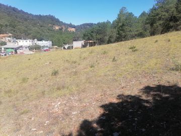 INVIERTE INTELIGENTEMENTE ADQUIERE UN LOTE CON ALTA PLUSVALÍA UBICADO EN LOS HERRERA, MUNICIPIO DE SAN JOAQUÍN, CON VISTA PANORAMICA HERMOSA.