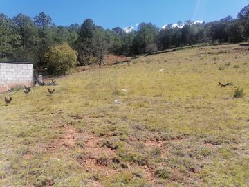 INVIERTE INTELIGENTEMENTE ADQUIERE UN LOTE CON ALTA PLUSVALÍA UBICADO EN LOS HERRERA, MUNICIPIO DE SAN JOAQUÍN, CON VISTA PANORAMICA HERMOSA.