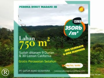 45 Juta Dapat Tanah Seluas 125 Meter