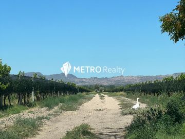 Finca en San Rafael ,  Cuadro Benegas