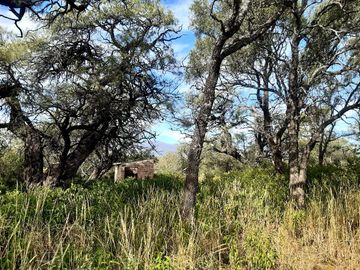 3 hectareas en venta en Las Tapias, Escritura. Traslasierras!!!
