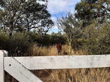 3 hectareas en venta en Las Tapias, Escritura. Traslasierras!!!
