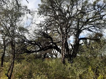 3 hectareas en venta en Las Tapias, Escritura. Traslasierras!!!