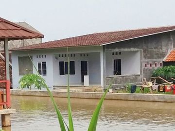 Rumah DiJual Plus Peternakan Burung Dan Empang Di Pandeglang Banten