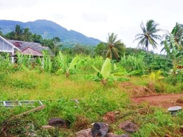 Rumah DiJual Plus Peternakan Burung Dan Empang Di Pandeglang Banten