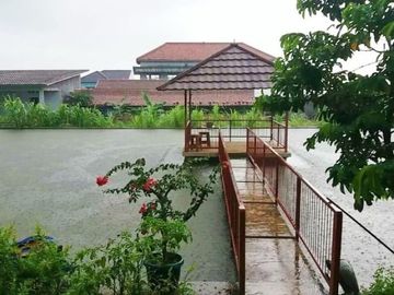 Rumah DiJual Plus Peternakan Burung Dan Empang Di Pandeglang Banten