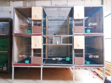 Rumah DiJual Plus Peternakan Burung Dan Empang Di Pandeglang Banten