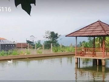 Rumah DiJual Plus Peternakan Burung Dan Empang Di Pandeglang Banten