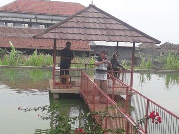 Rumah DiJual Plus Peternakan Burung Dan Empang Di Pandeglang Banten