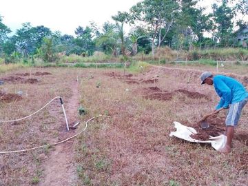 Rumah DiJual Plus Peternakan Burung Dan Empang Di Pandeglang Banten