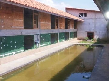 Rumah DiJual Plus Peternakan Burung Dan Empang Di Pandeglang Banten