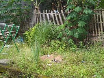DIJUAL TANAH PINGGIR JALAN NASIONAL BANDARA YIA