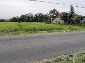Tanah Dijual BU Murah Meriah di Jalan Berbah - Kalasan