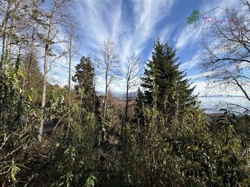 Parcela en venta en Lago Villarrica - Pucón - Rio Plata