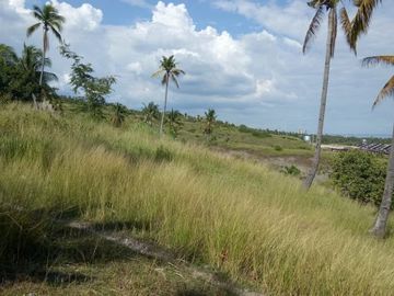 Pre- Selling 3 Bedroom 2 Storey Houses for Sale in Alberlyn Highlands, San Fernando, Cebu
