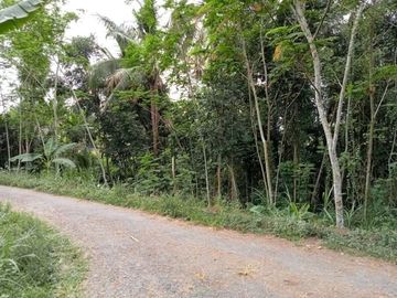 Tanah pekarangan di Jomboran, Turi: Harga Murah Bisa Nego